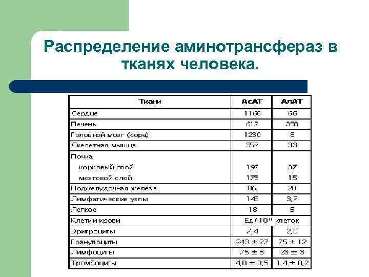 Распределение аминотрансфераз в тканях человека. 