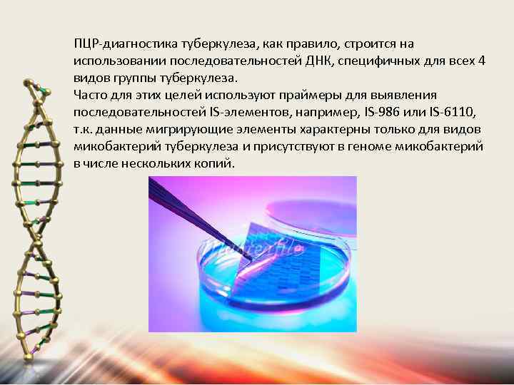 ПЦР-диагностика туберкулеза, как правило, строится на использовании последовательностей ДНК, специфичных для всех 4 видов
