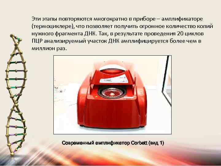 Эти этапы повторяются многократно в приборе – амплификаторе (термоциклере), что позволяет получить огромное количество