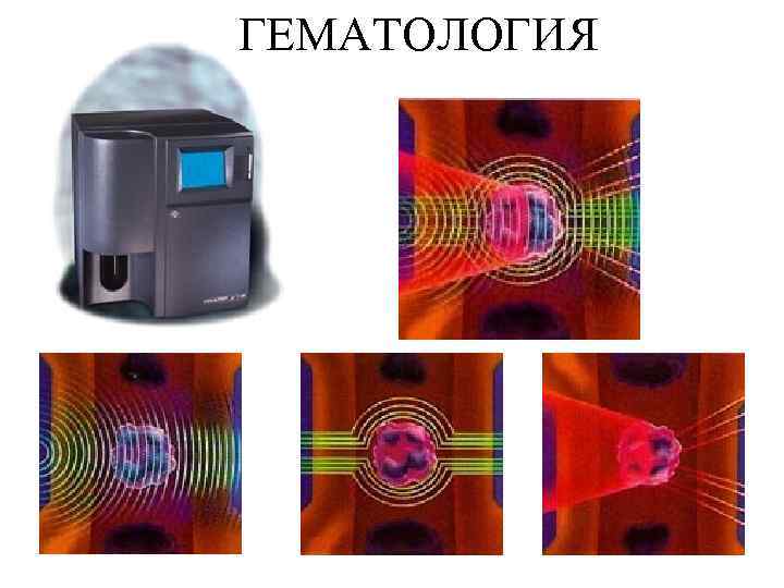 ГЕМАТОЛОГИЯ 