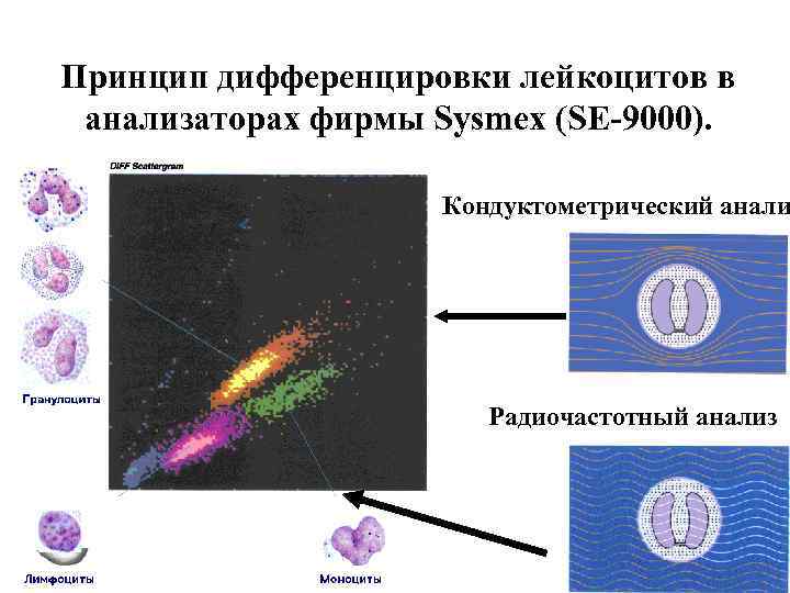Принцип дифференцировки лейкоцитов в анализаторах фирмы Sysmex (SE-9000).    Кондуктометрический анали 