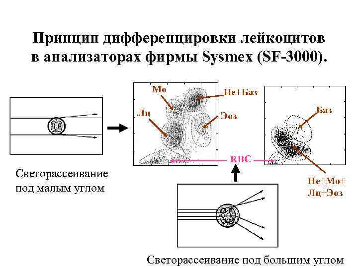  Принцип дифференцировки лейкоцитов  в анализаторах фирмы Sysmex (SF-3000).    