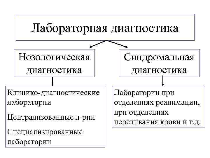  Лабораторная диагностика  Нозологическая  Синдромальная  диагностика Клинико-диагностические  Лаборатории при лаборатории