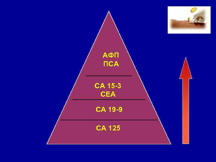АФП ПСА СA 15 3 СEA CA 19 9 CA 125 