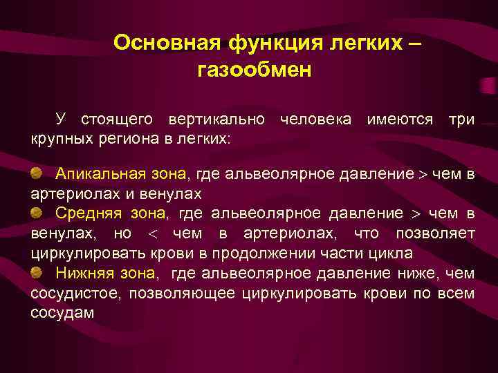 Роль легких. Нарушение функции газообмена легких.