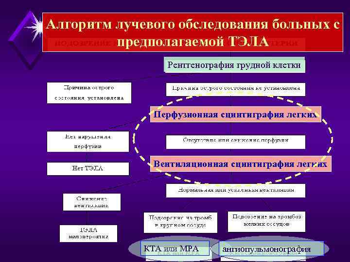 Алгоритм лучевого обследования больных с предполагаемой ТЭЛА Рентгенография грудной клетки Перфузионная сцинтиграфия легких Вентиляционная