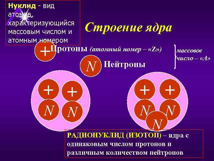Нуклид - вид атомов, характеризующийся массовым числом и атомным номером + Строение ядра Протоны