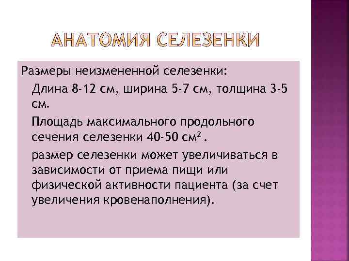 Размеры неизмененной селезенки: Длина 8 -12 см, ширина 5 -7 см, толщина 3 -5
