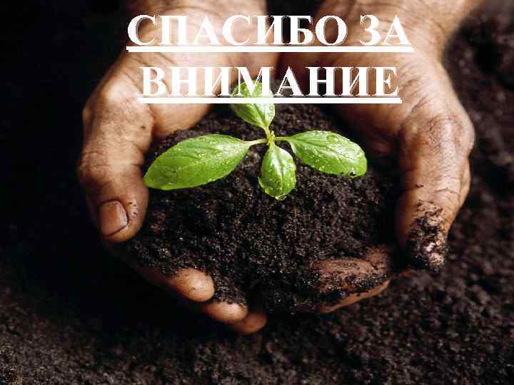 СПАСИБО ЗА ВНИМАНИЕ 