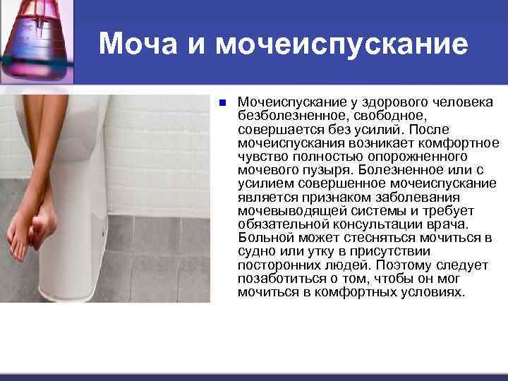 Моча и мочеиспускание n Мочеиспускание у здорового человека безболезненное, свободное, совершается без усилий. После