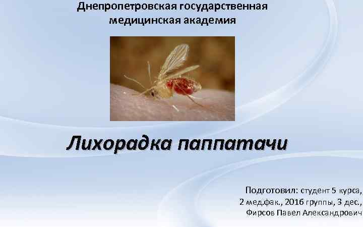 Днепропетровская государственная медицинская академия Лихорадка паппатачи Подготовил: студент 5 курса, 2 мед. фак. ,