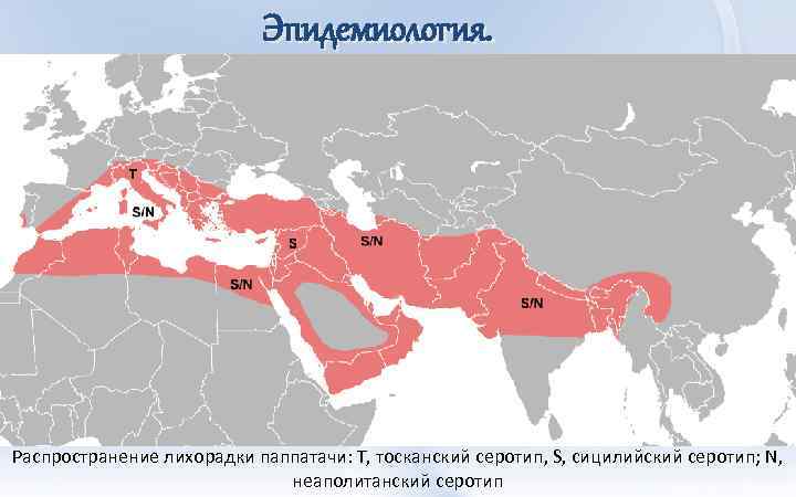 Эпидемиология. Распространение лихорадки паппатачи: T, тосканский серотип, S, сицилийский серотип; N, неаполитанский серотип 