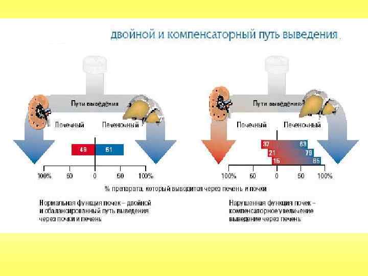      1 -й препарат из группы ингибиторов АПФ  