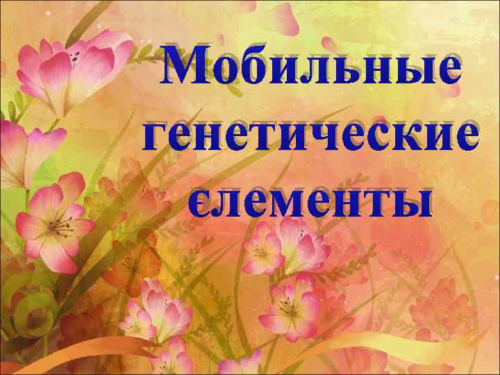  Мобильные генетические  элементы 