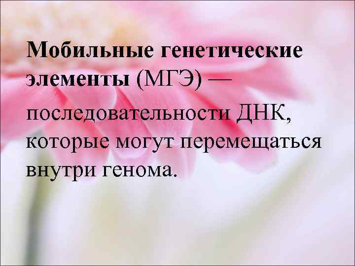 Мобильные генетические элементы (МГЭ) — последовательности ДНК,  которые могут перемещаться внутри генома. 