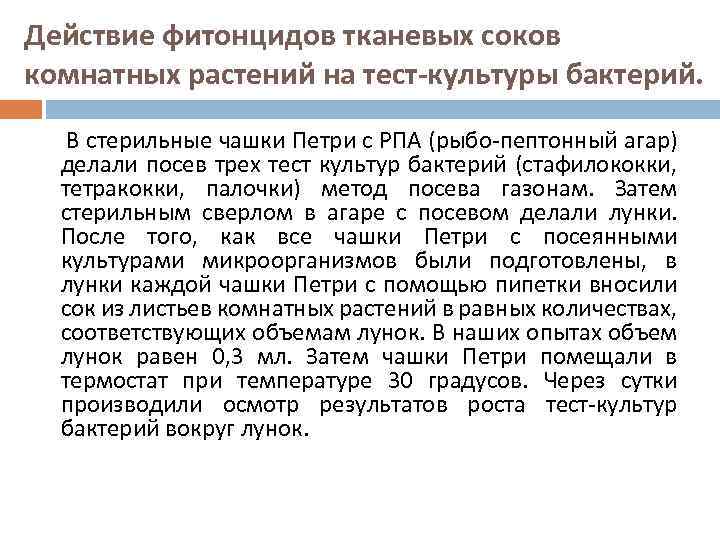 Действие фитонцидов тканевых соков комнатных растений на тест-культуры бактерий. В стерильные чашки Петри с
