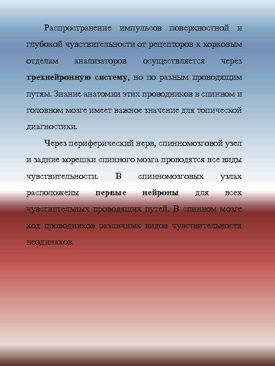 Распространение импульсов поверхностной и глубокой чувствительности от рецепторов к корковым отделам анализаторов осуществляется через