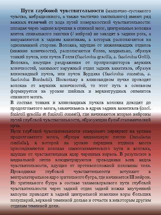 Пути глубокой чувствительности (мышечно-суставного чувства, вибрационного, а также частично тактильного) имеют ряд важных отличий