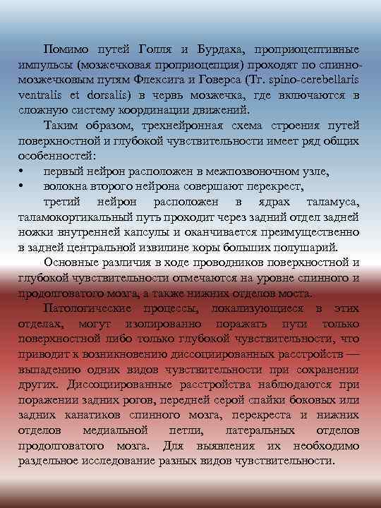 Помимо путей Голля и Бурдаха, проприоцептивные импульсы (мозжечковая проприоцепция) проходят по спинномозжечковым путям Флексига