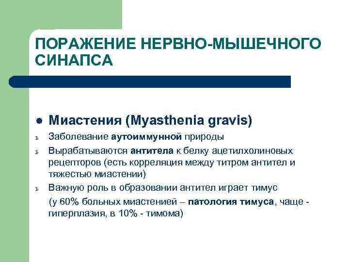 ПОРАЖЕНИЕ НЕРВНО-МЫШЕЧНОГО СИНАПСА l Миастения (Myasthenia gravis) ь Заболевание аутоиммунной природы Вырабатываются антитела к