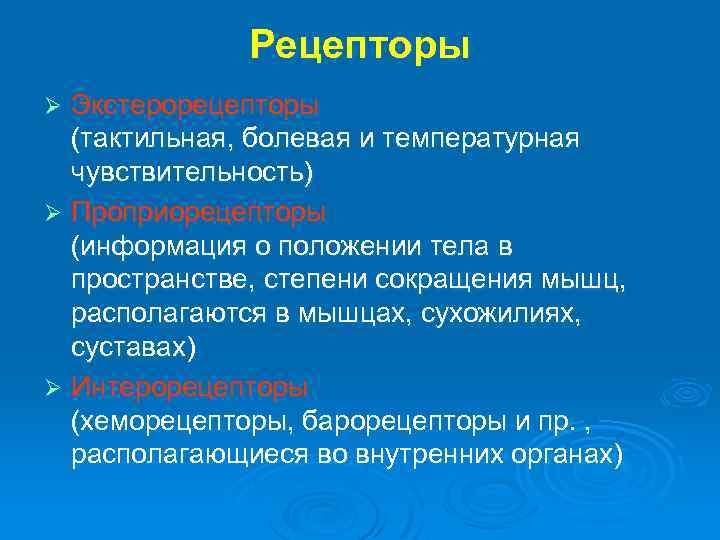 Рецепторы Экстерорецепторы (тактильная, болевая и температурная чувствительность) Ø Проприорецепторы (информация о положении тела в
