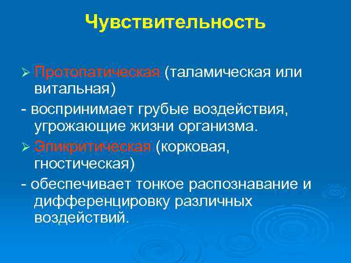 Чувствительность Ø Протопатическая (таламическая или витальная) - воспринимает грубые воздействия, угрожающие жизни организма. Ø