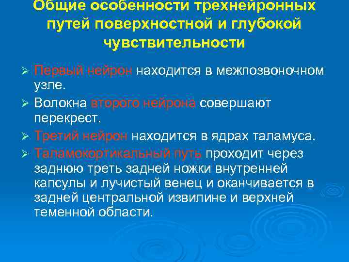 Поверхностные пути. Путь глубокой чувствительности. Пути поверхностной и глубокой чувствительности. Первый Нейртн поверхной чувствительности. Путь поверхностной чувствительности неврология.