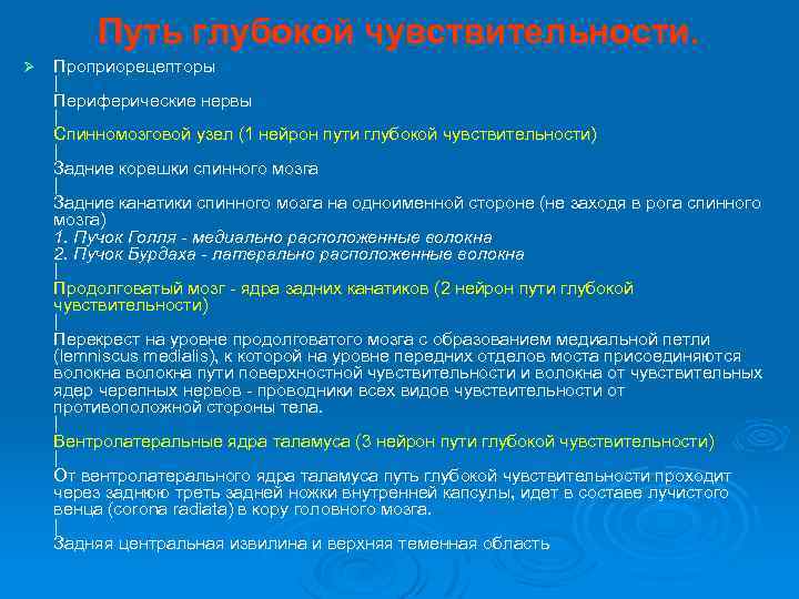 Путь глубокой чувствительности. Ø Проприорецепторы | Периферические нервы | Спинномозговой узел (1 нейрон пути