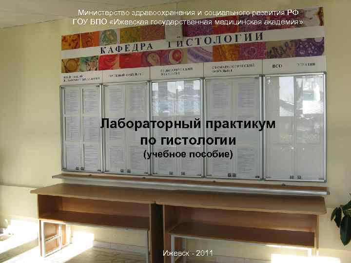 Министерство здравоохранения и социального развития РФ ГОУ ВПО «Ижевская государственная медицинская академия» Лабораторный практикум