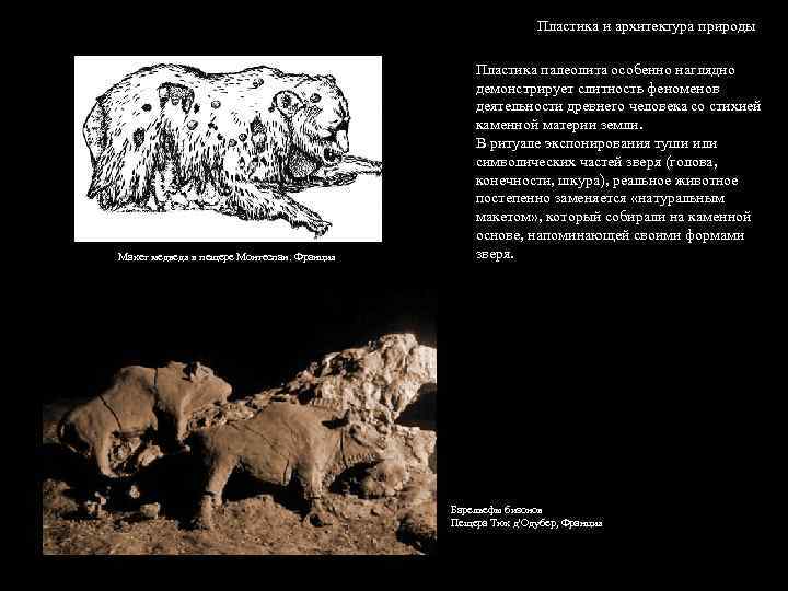 Пластика и архитектура природы Макет медведя в пещере Монтеспан. Франция Пластика палеолита особенно наглядно