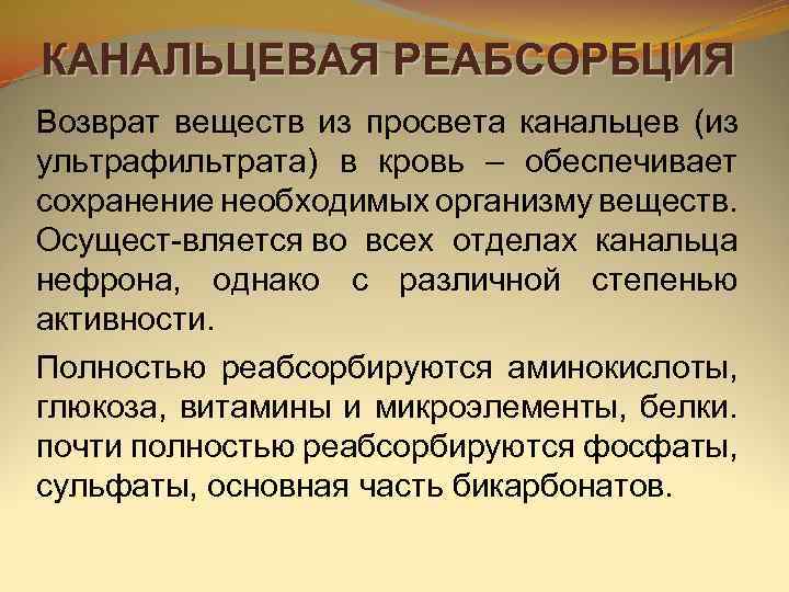 КАНАЛЬЦЕВАЯ РЕАБСОРБЦИЯ Возврат веществ из просвета канальцев (из ультрафильтрата) в кровь – обеспечивает сохранение