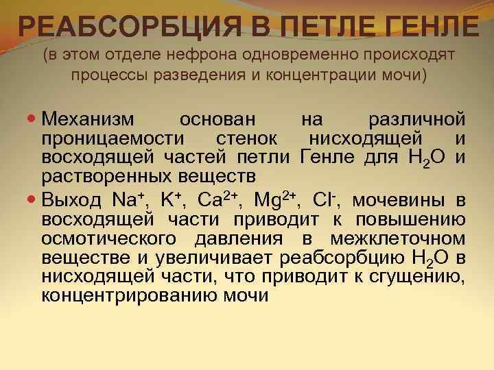 РЕАБСОРБЦИЯ В ПЕТЛЕ ГЕНЛЕ (в этом отделе нефрона одновременно происходят процессы разведения и концентрации