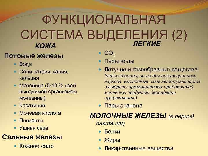   ФУНКЦИОНАЛЬНАЯ  СИСТЕМА ВЫДЕЛЕНИЯ (2)  КОЖА     