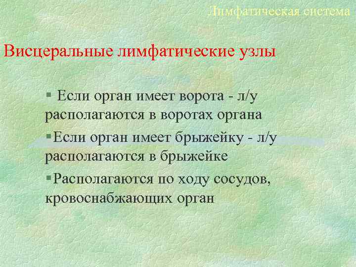 Лимфатическая система Висцеральные лимфатические узлы § Если орган имеет ворота - л/у располагаются в