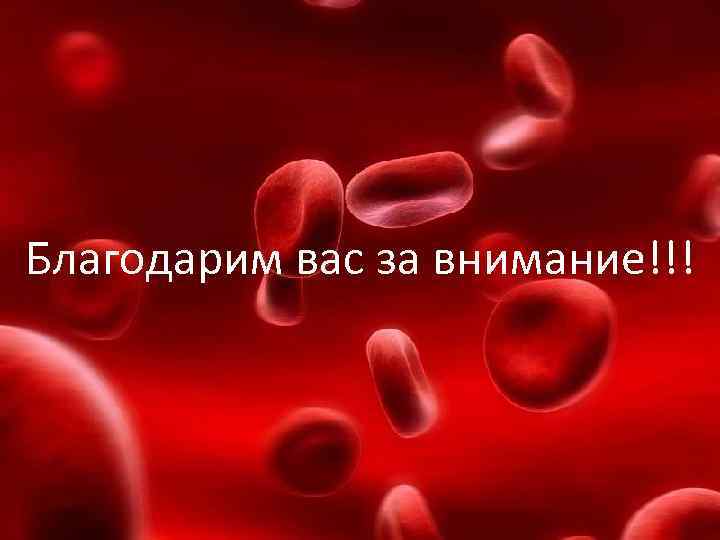 Благодарим вас за внимание!!! 