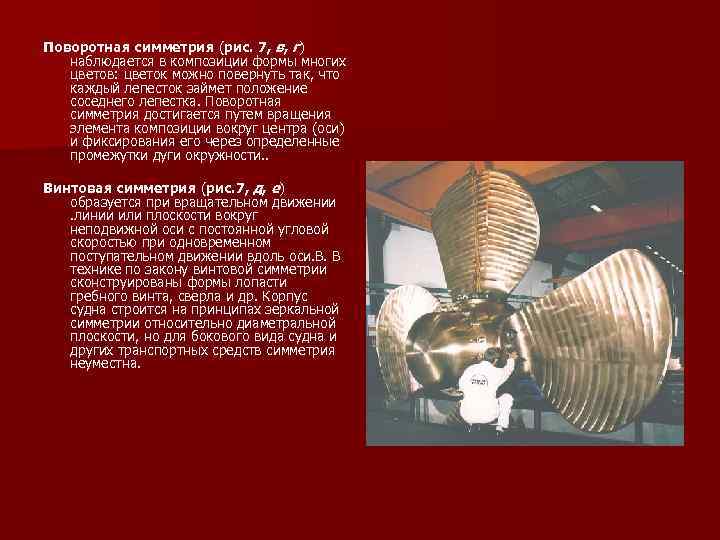 Поворотная симметрия (рис. 7, в, г) наблюдается в композиции формы многих цветов: цветок можно