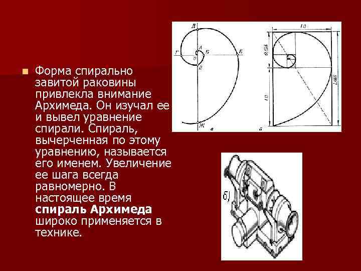 n Форма спирально завитой раковины привлекла внимание Архимеда. Он изучал ее и вывел уравнение