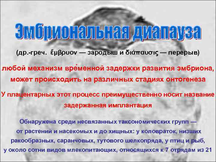 (др. -греч. ἔμβρυον — зародыш и διάπαυσις — перерыв) любой механизм вре менной задержки