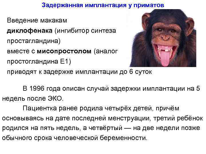 Задержанная имплантация у приматов Введение макакам диклофенака (ингибитор синтеза простагландина) вместе с мисопростолом (аналог