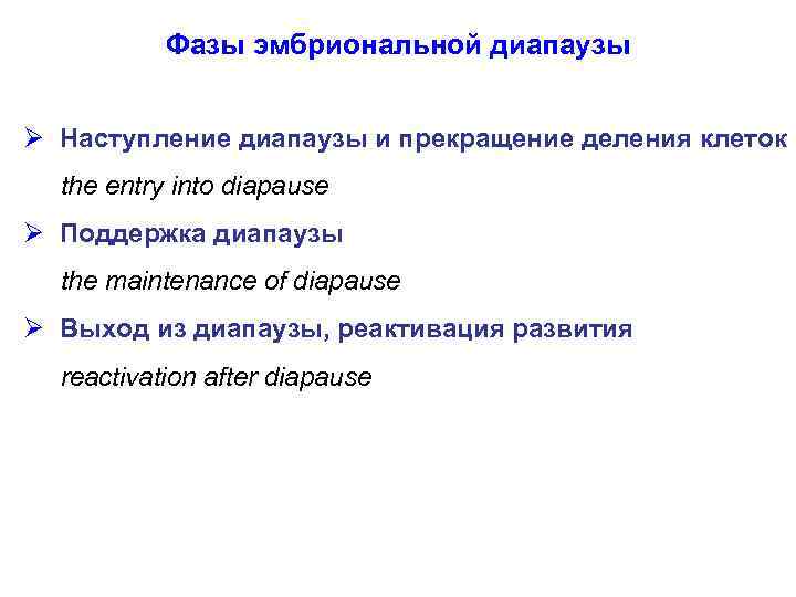Фазы эмбриональной диапаузы Ø Наступление диапаузы и прекращение деления клеток the entry into diapause