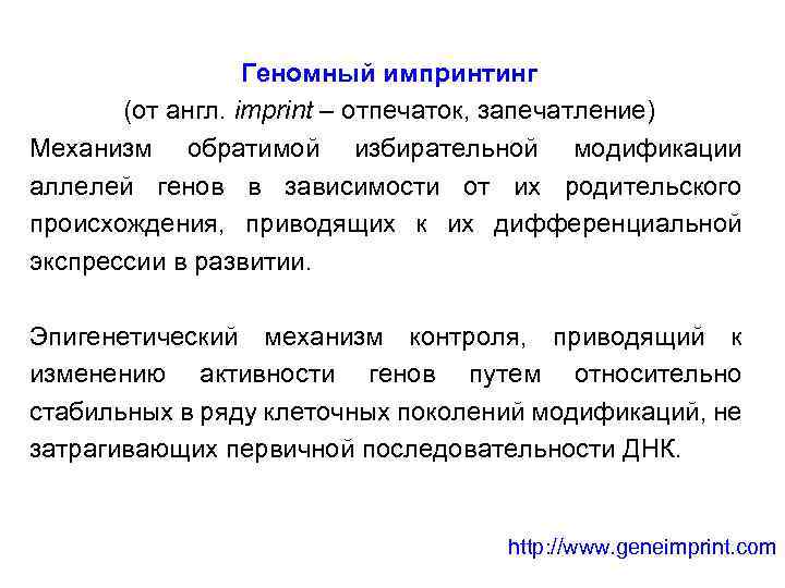 Геномный импринтинг (от англ. imprint – отпечаток, запечатление) Механизм обратимой избирательной модификации аллелей генов