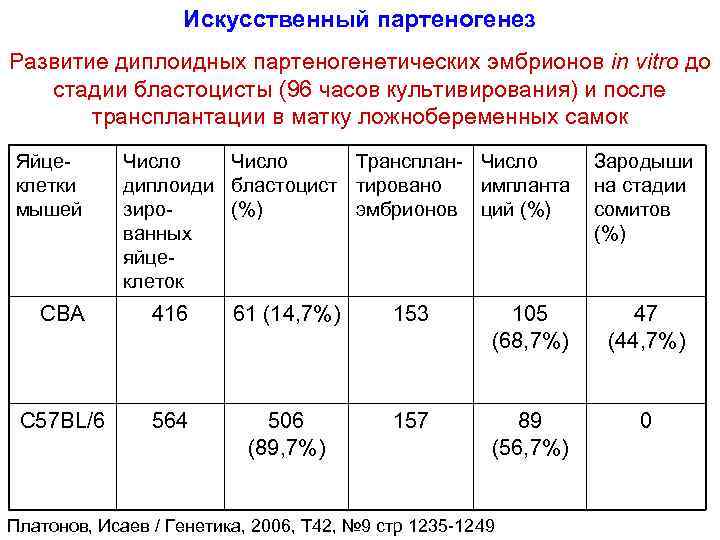 Искусственный партеногенез Развитие диплоидных партеногенетических эмбрионов in vitro до стадии бластоцисты (96 часов культивирования)