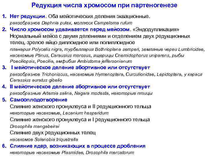 Редукция числа хромосом при партеногенезе 1. Нет редукции. Оба мейотических деления эквационные. ракообразное Daphnia