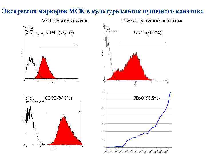 Экспрессия маркеров МСК в культуре клеток пупочного канатика МСК костного мозга СD 44 (93,
