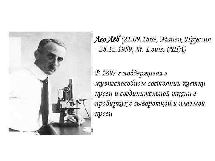 Лео Лёб (21. 09. 1869, Майен, Пруссия - 28. 12. 1959, St. Louis, США)