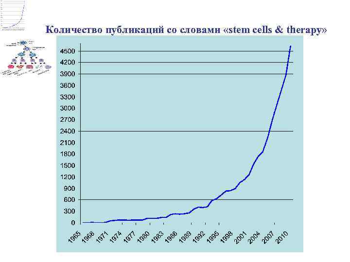 Количество публикаций со словами «stem cells & therapy» 