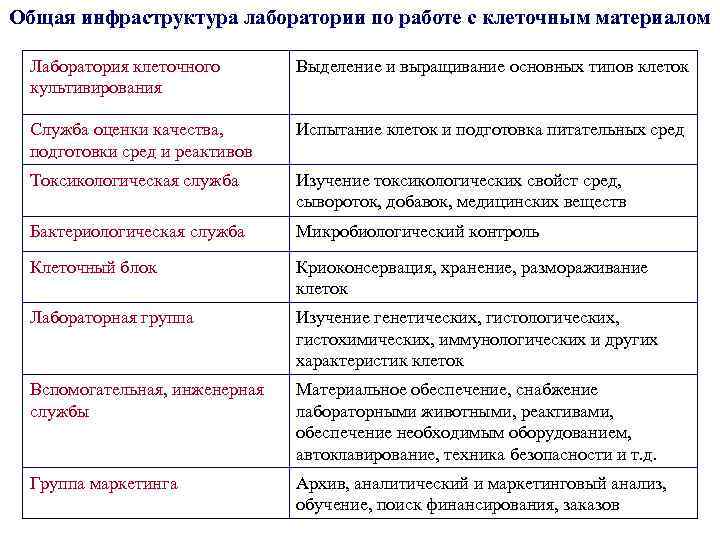 Общая инфраструктура лаборатории по работе с клеточным материалом Лаборатория клеточного культивирования Выделение и выращивание