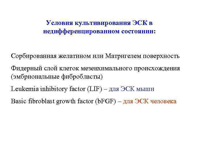 Условия культивирования ЭСК в недифференцированном состоянии: Сорбированная желатином или Матригелем поверхность Фидерный слой клеток