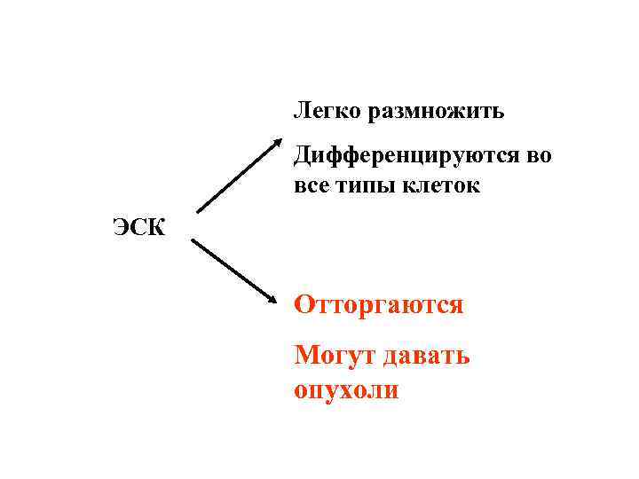 Легко размножить Дифференцируются во все типы клеток ЭСК Отторгаются Могут давать опухоли 