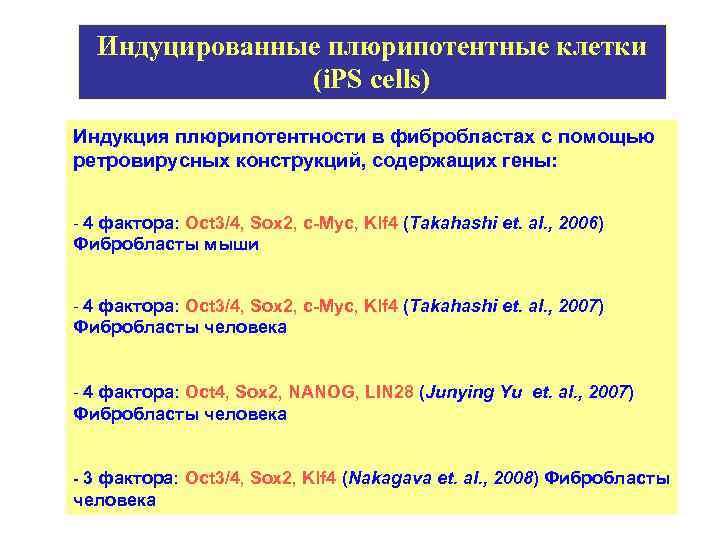 Индуцированные плюрипотентные клетки (i. PS cells) Индукция плюрипотентности в фибробластах с помощью ретровирусных конструкций,
